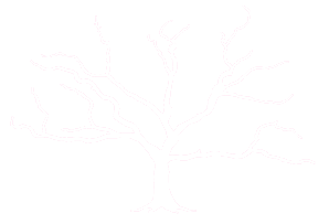 Ghostwoodwhiskey 